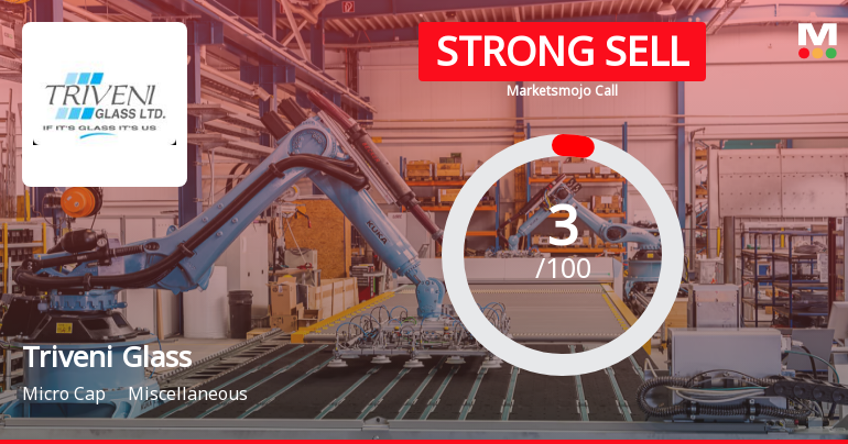 Triveni Glass Sees Revision in Market Assessment Amidst Challenging Fundamentals