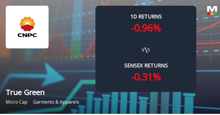 True Green Bio Energy Faces Intense Selling Pressure Amid Consecutive Losses