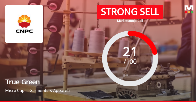 True Green’s Market Assessment Revised Amidst Challenging Fundamentals