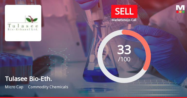 Tulasee Bio-Eth. Sees Revision in Market Evaluation Amid Mixed Financial Signals