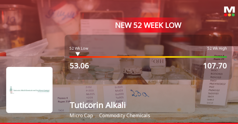 Tuticorin Alkali Chemicals & Fertilizers Stock Hits 52-Week Low at Rs.53.06