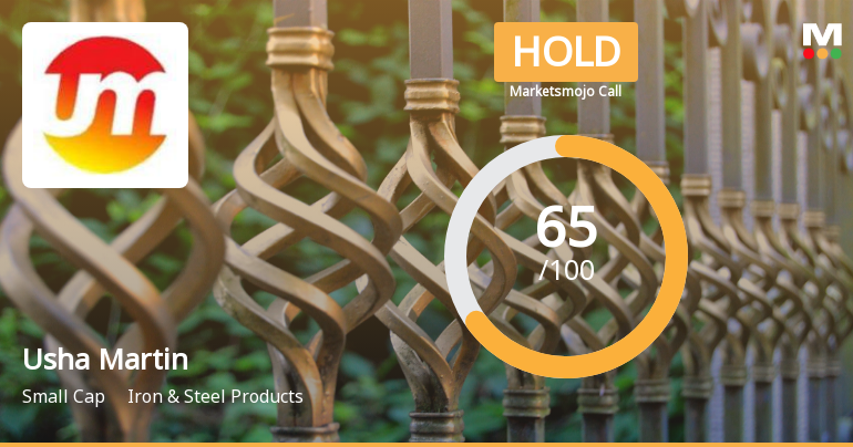 Usha Martin’s Market Assessment Reflects Mixed Signals Amid Strong Long-Term Returns