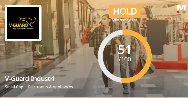 V-Guard Industri Sees Revision in Market Evaluation Amid Mixed Financial Signals