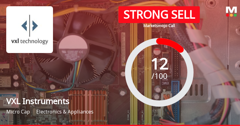 VXL Instruments Sees Revision in Market Evaluation Amid Challenging Financials