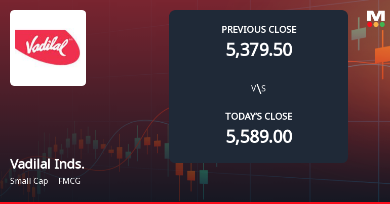 Vadilal Industries Opens with Significant Gap Down Amid Market Concerns