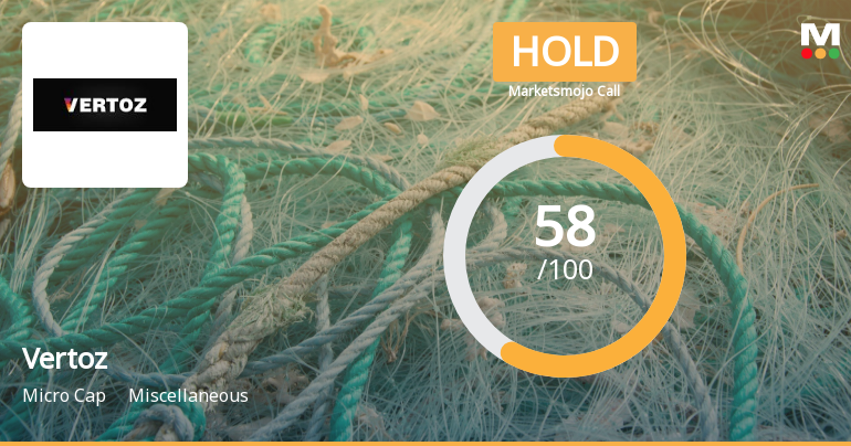 Vertoz Sees Revision in Market Evaluation Amid Mixed Performance Metrics