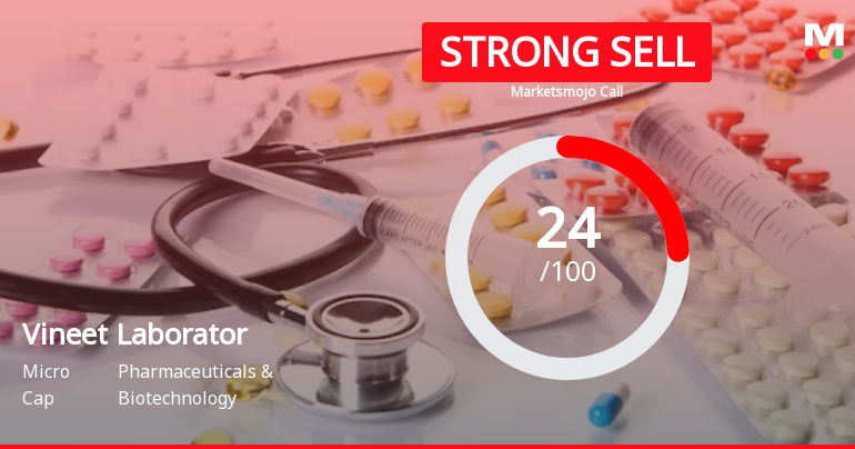 Vineet Laborator Sees Revision in Market Assessment Amid Challenging Fundamentals