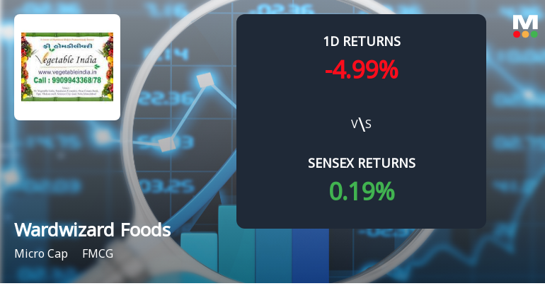 Wardwizard Foods & Beverages Faces Intense Selling Pressure Amid Consecutive Losses