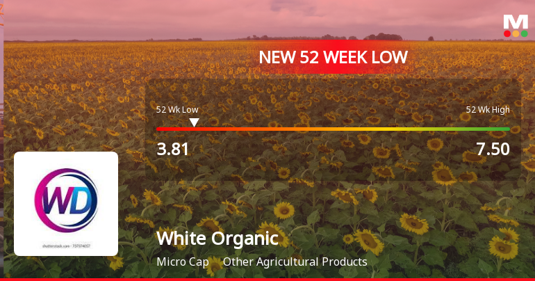 White Organic Agro Falls to 52-Week Low of Rs.3.81 Amidst Continued Underperformance