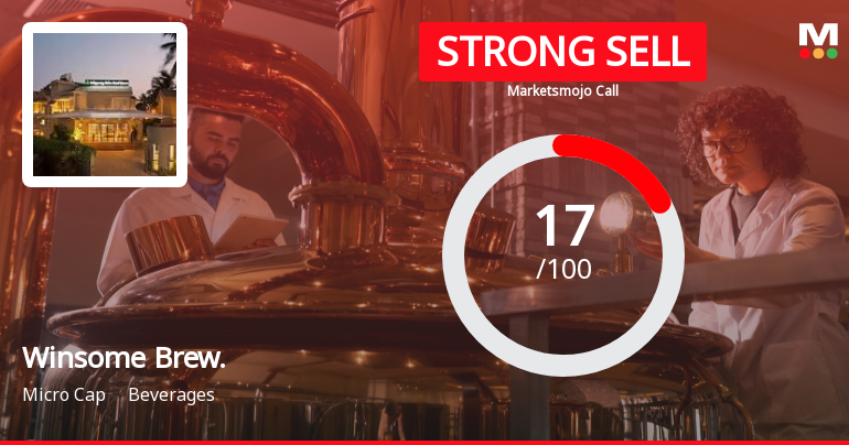 Winsome Brew. Sees Revision in Market Evaluation Amid Challenging Financial Trends