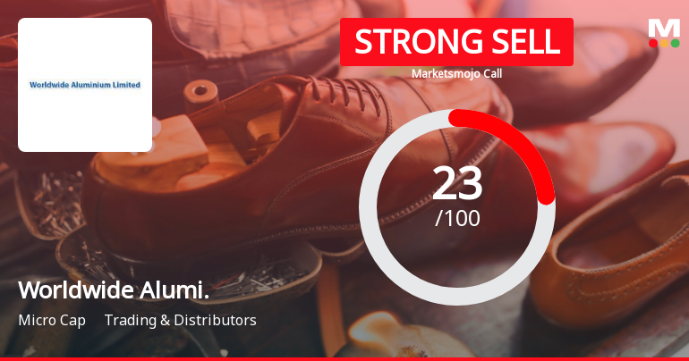 Worldwide Alumi. Sees Revision in Market Evaluation Amid Mixed Financial Signals