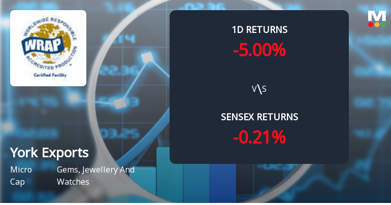 York Exports Faces Intense Selling Pressure Amid Lower Circuit Lockdown