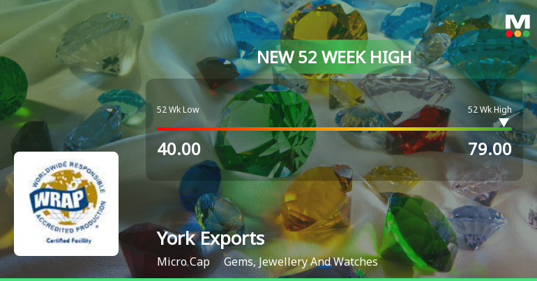 York Exports Hits New 52-Week High of Rs.79, Marking Significant Market Milestone