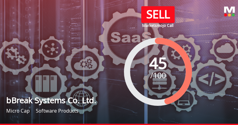 bBreak Systems Co. Faces Performance Challenges Amid Declining Profit and Sales Metrics