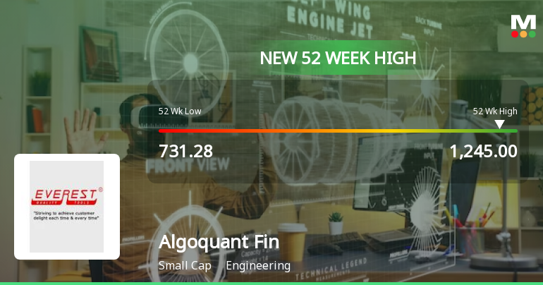 Algoquant Fintech Stock Performance