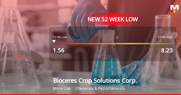 Bioceres Crop Solutions Corp. Hits New 52-Week Low at USD 1.55