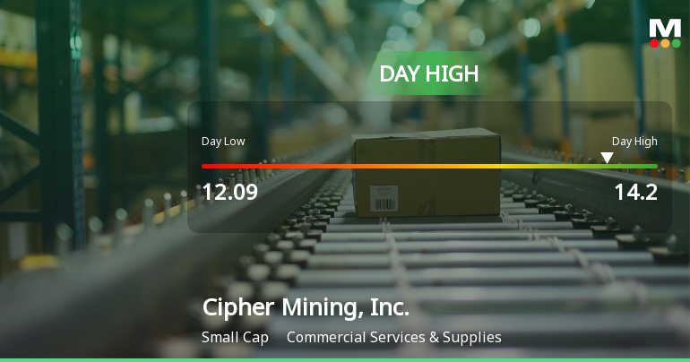 Cipher Mining Stock Soars 13.68%, Hits Intraday High of $14.20