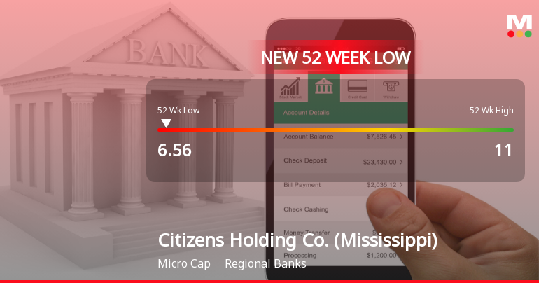 Citizens Holding Co. Stock Plummets to New 52-Week Low of $6.56