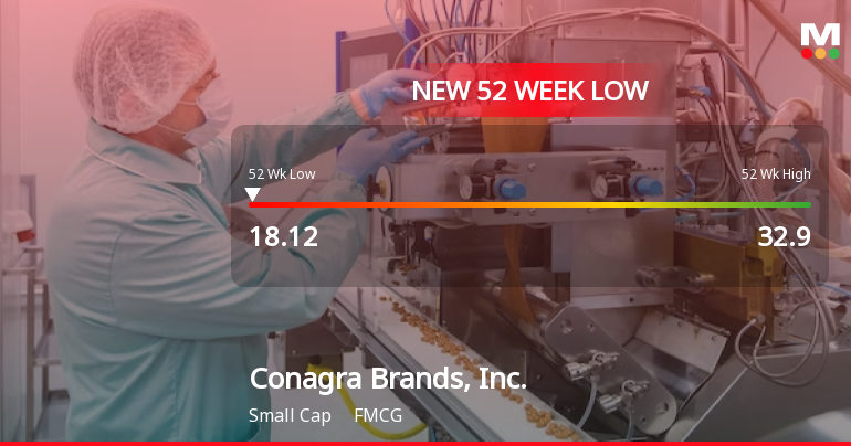 Conagra Brands Hits New 52-Week Low at $18.12 Amid Sales Decline