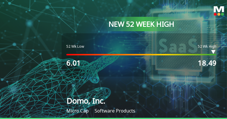 Domo, Inc. Hits New 52-Week High of $18.49, Up 165.69%