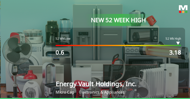 Energy Vault Holdings Hits New 52-Week High of $3.18, Up 168.1%