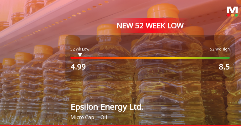 Epsilon Energy Stock Plummets to New 52-Week Low at $4.99