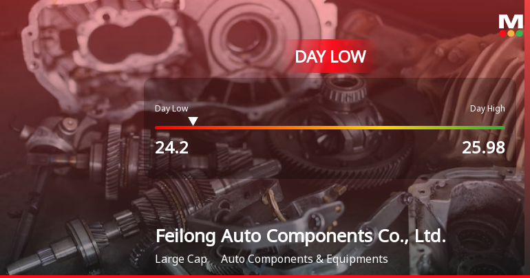 Feilong Auto Components Hits Day Low of CNY 24.20 Amid Price Pressure