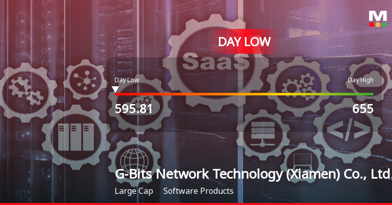 G-Bits Network Hits Day Low of CNY 595.81 Amid Price Pressure