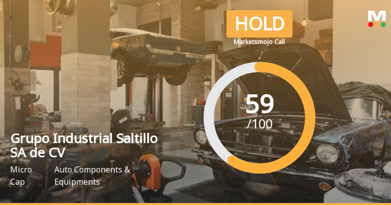 Grupo Industrial Saltillo Adjusts Valuation Metrics, Signaling Enhanced Market Position