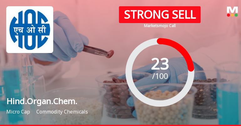 Hindustan Organic Chemicals Faces Stabilization Amid Declining Profit and High Debt Concerns