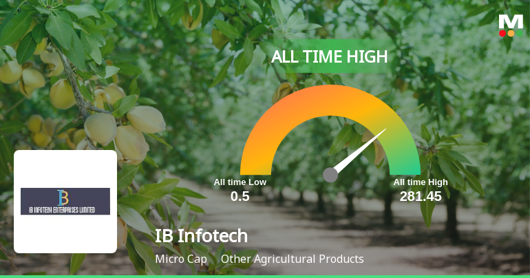 Infotech Time IB Infotech Enterprises Soars to All-Time High, Signaling...
