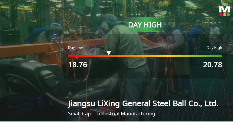 Jiangsu LiXing Stock Hits Day High with 7.05% Surge