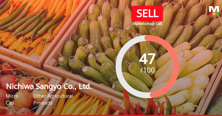 Nichiwa Sangyo's Valuation Upgrade Signals Potential Growth Amid Management Challenges