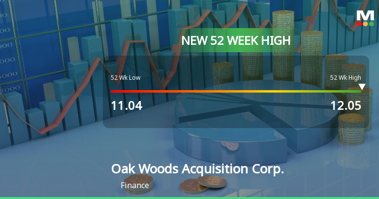 Oak Woods Acquisition Corp. Hits New 52-Week High at USD 12.05