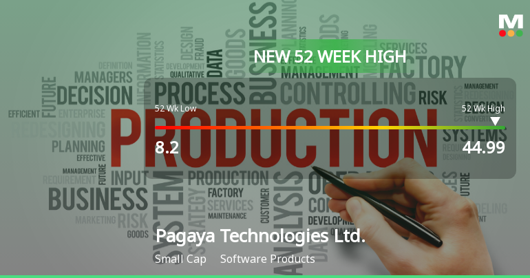 Pagaya Technologies Hits New 52-Week High of $44.99, Up 262% Yearly