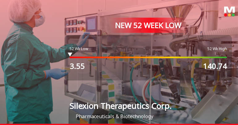 Silexion Therapeutics Corp. Stock Hits New 52-Week Low at $3.55