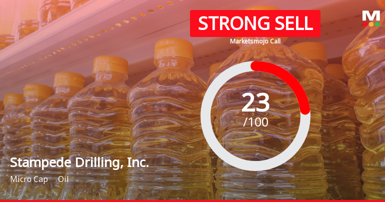 Stampede Drilling Experiences Valuation Upgrade Amid Financial Metric Adjustments