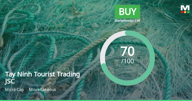 Tay Ninh Tourist Trading JSC Adjusts Valuation Amid Evolving Financial Landscape