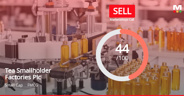 Tea Smallholder Factories Plc Faces Financial Challenges Amid Valuation Adjustment and Rising Costs
