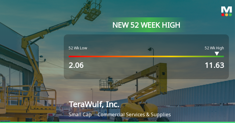 TeraWulf, Inc. Hits New 52-Week High at $11.63, Up 261.49%