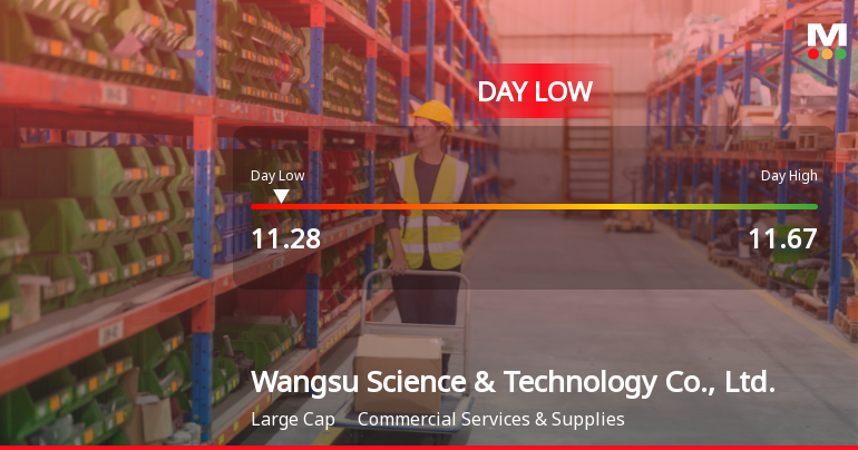 Wangsu Science & Technology Hits Day Low of CNY 11.28 Amid Price Pressure