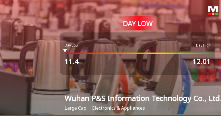 Wuhan P&S Stock Hits Day Low of CNY 11.40 Amid Price Pressure