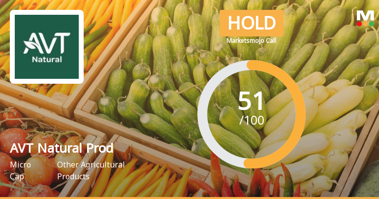 AVT Natural Products Ltd Upgraded to Hold by MarketsMOJO Amid Mixed Financial Signals