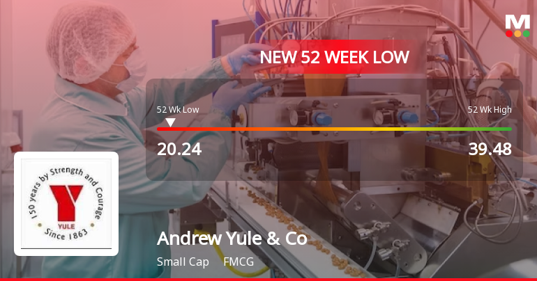 Andrew Yule & Company Ltd Stock Falls to 52-Week Low of Rs.20.24
