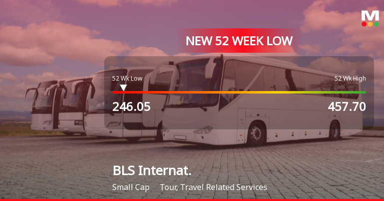 BLS International Services Ltd Falls to 52-Week Low of Rs.246.05