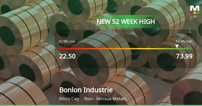 Bonlon Industries Ltd Hits New 52-Week High at Rs.73.99