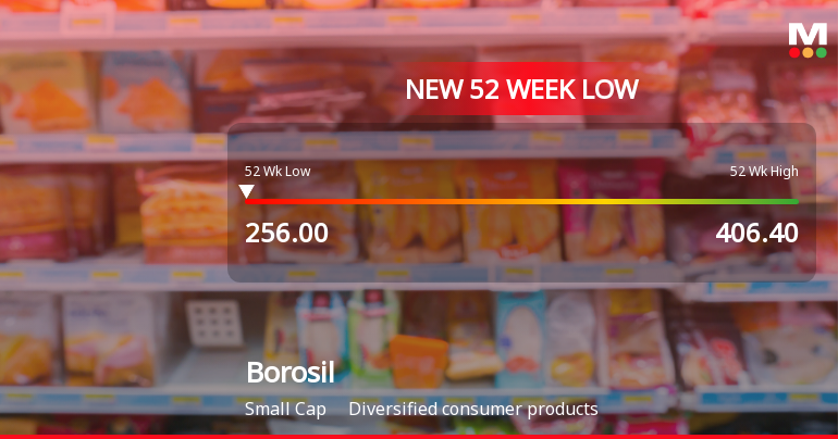 Borosil Ltd Stock Falls to 52-Week Low of Rs.256.35 Amidst Prolonged Downtrend
