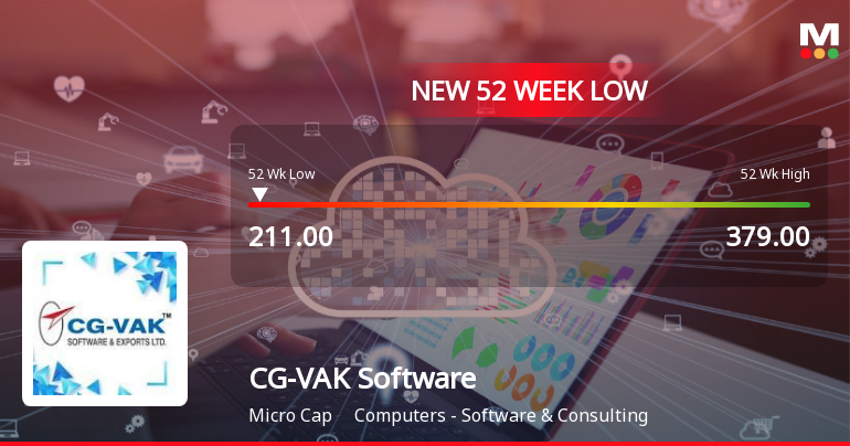 CG-VAK Software & Exports Ltd Falls to 52-Week Low of Rs.214.05