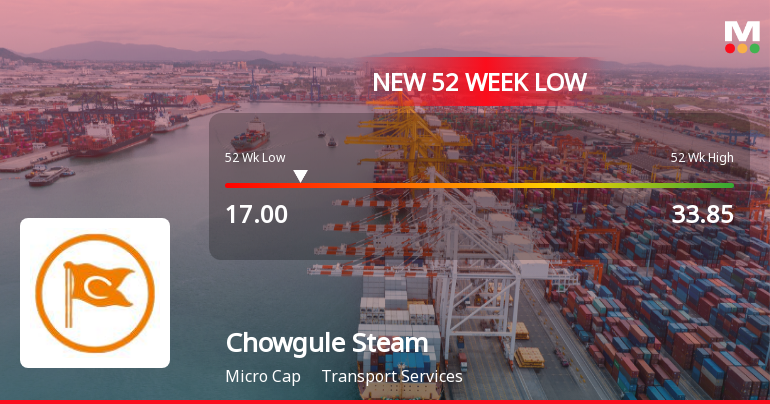 Chowgule Steamships Ltd Falls to 52-Week Low of Rs.17 Amidst Continued Downtrend