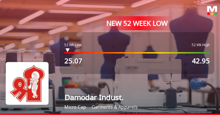 Damodar Industries Ltd Falls to 52-Week Low of Rs.25.07 Amid Continued Downtrend